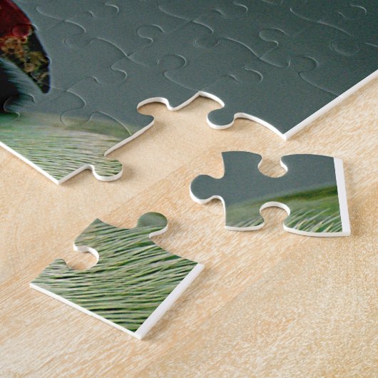 Puzzle Le Parakeet À Cercles Rose (Côté)