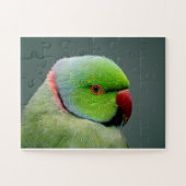 Puzzle Le Parakeet À Cercles Rose (Horizontal)