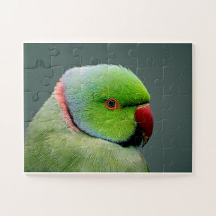 Puzzle Le Parakeet À Cercles Rose