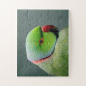 Puzzle Le Parakeet À Cercles Rose (Vertical)