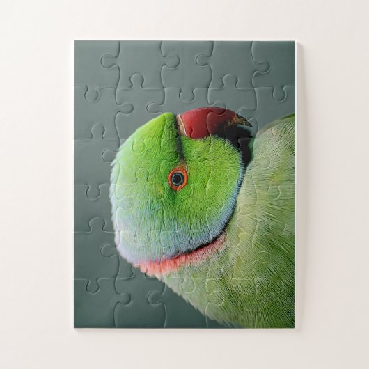 Puzzle Le Parakeet À Cercles Rose (Vertical)