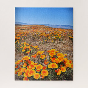 Puzzle Le pavot de Californie met en place - des fleurs -