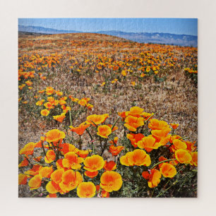 Puzzle Le pavot de Californie met en place - des fleurs -