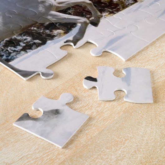 Puzzle Le pays des merveilles d'hiver (Côté)