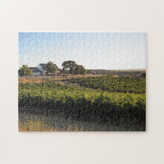 Puzzle : Le Penman jaillit vignoble dans Paso (Horizontal)