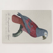 Puzzle Le Perroquet cendre Tapire (Horizontal)