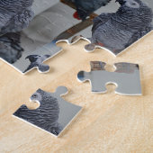 Puzzle Le perroquet gris du Congo en miroir (Côté)