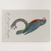 Puzzle Le Perroquet Langlois de Jacques Barraband (Horizontal)