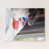 PUZZLE LE PETIT CHIHUAHUA (Horizontal)