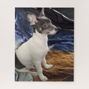 PUZZLE LE PETIT CHIHUAHUA