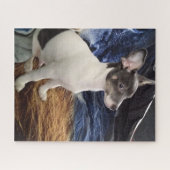 PUZZLE LE PETIT CHIHUAHUA (Horizontal)