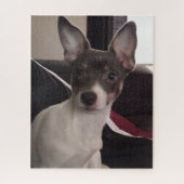 PUZZLE LE PETIT CHIHUAHUA DOG (Vertical)