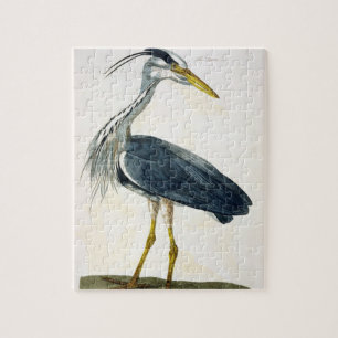 Puzzle Le plat de héron (Ardea cinerea) 'des Anglais