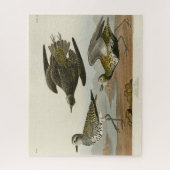 Puzzle Le Pluvier doré américain, les oiseaux d'Amérique (Vertical)
