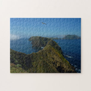 Puzzle Le point d'inspiration d'Anacapa I dans les îles d