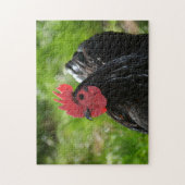 Puzzle Le poulet (Vertical)