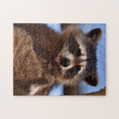 Puzzle Le raton laveur drôle le collant est langue (Horizontal)