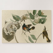 Puzzle Le Redstart américain des oiseaux d'Amérique d'Aud (Horizontal)