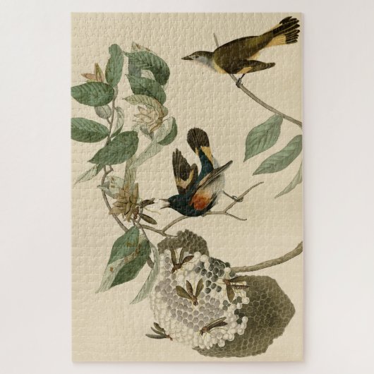 Puzzle Le Redstart américain des oiseaux d'Amérique d'Aud (Vertical)