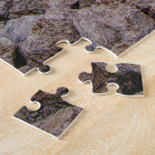 Puzzle Le rivage du lac Michigan (Côté)