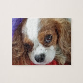 Puzzle Le Roi cavalier Charles Pretty (Horizontal)
