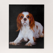 Puzzle Le roi Charles Spaniel Chien. (Vertical)