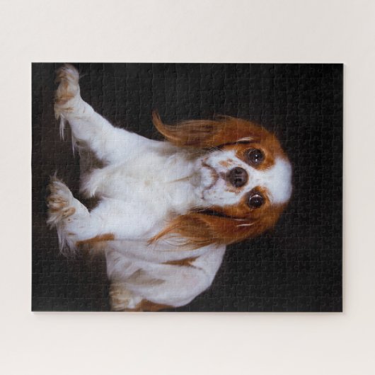 Puzzle Le roi Charles Spaniel Chien. (Horizontal)