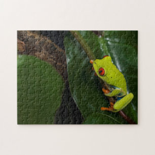 Puzzle Le rouge observe la grenouille sur la tige