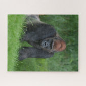 Puzzle Le royaume serein de Silverback (Horizontal)