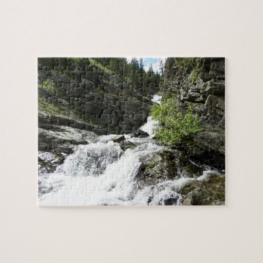 Puzzle Le ruisseau Aster dans le parc national Glacier (Horizontal)
