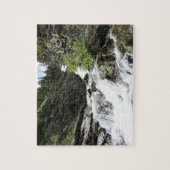 Puzzle Le ruisseau Aster dans le parc national Glacier (Vertical)