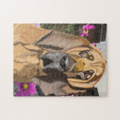 Puzzle Le sang contre le Cosmos rose (Horizontal)