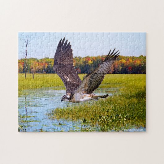 Puzzle "Le Seigneur Du Marais" (Horizontal)