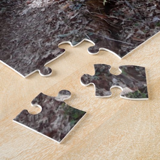 Puzzle Le sentier des Appalaches (Côté)