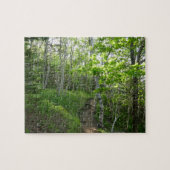 Puzzle Le sentier forestier à Acadia (Horizontal)