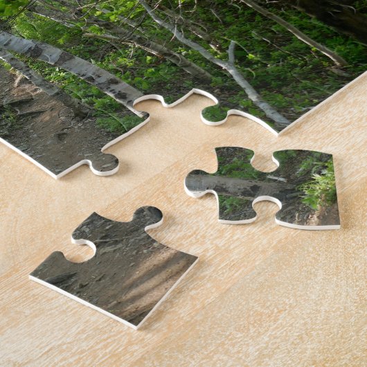 Puzzle Le sentier forestier à Acadia (Côté)
