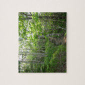 Puzzle Le sentier forestier à Acadia (Vertical)