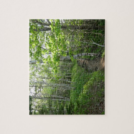 Puzzle Le sentier forestier à Acadia (Vertical)