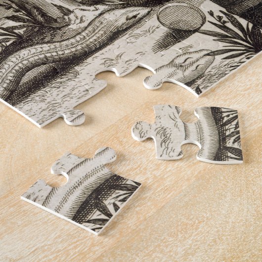 Puzzle Le serpent en pierre, de "Chine a illustré" par (Côté)