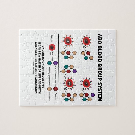 Puzzle Le système de groupe sanguin d'ABO comprennent le (Horizontal)