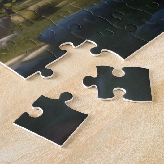 Puzzle Le temple d'Artémis à Ephèse vu par Ai (Côté)