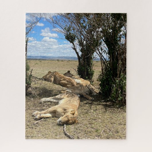 Puzzle Le temps de la sieste pour Lions Kenya (Vertical)