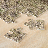 Puzzle Le temps de la sieste pour Lions Kenya (Côté)