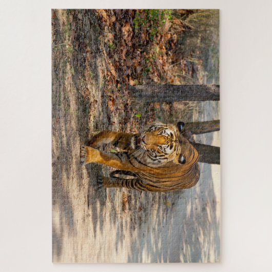 Puzzle Le Tigre indien (Vertical)