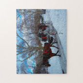 Puzzle Le transport à cheval à Central Park New York. (Vertical)