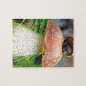 Puzzle Leccinum sur l'herbe avec escargot (Horizontal)
