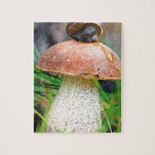 Puzzle Leccinum sur l'herbe avec escargot (Vertical)