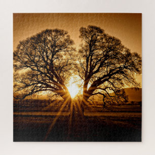 Puzzle L'éclatement du coucher du soleil - 20x20 - 676 pc