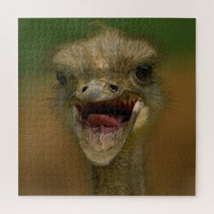 Puzzle L'Embrace d'Ostrich