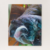 Puzzle L'empereur Tamarins Monkey. (Vertical)